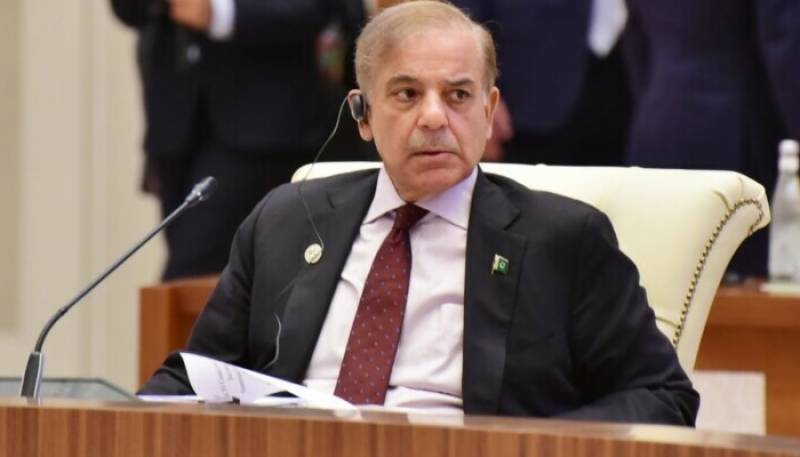 PM Shehbaz addresses SCO summit, calls for action on climate change