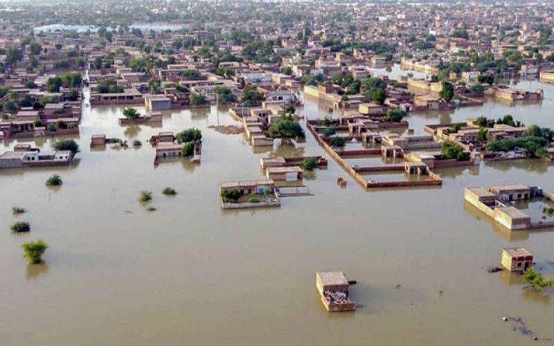 World needs to come forward to help flood-hit Pakistan: US State Dept
