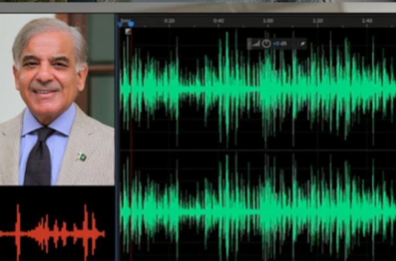 PMO leaks: Another alleged audio of PM Shehbaz surfaces