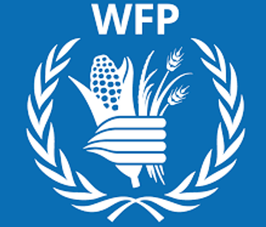 World facing 'unprecedented' food crisis, warns WFP
