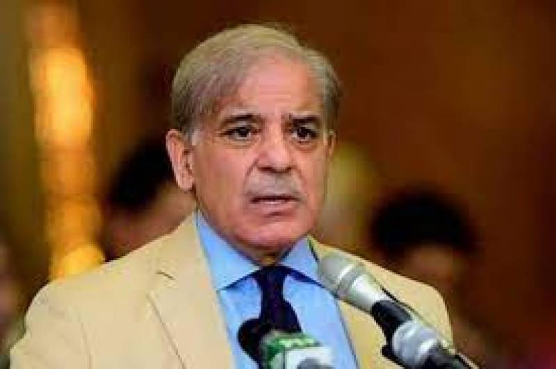PM Shehbaz vows to promote principles of freedom of expression, free media