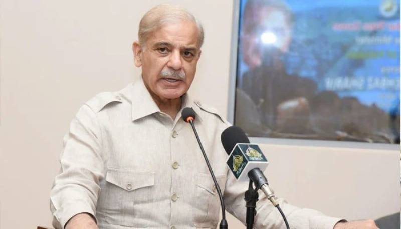 PM Shehbaz invites Qatari Emir to attend Conference on Climate Resilient
