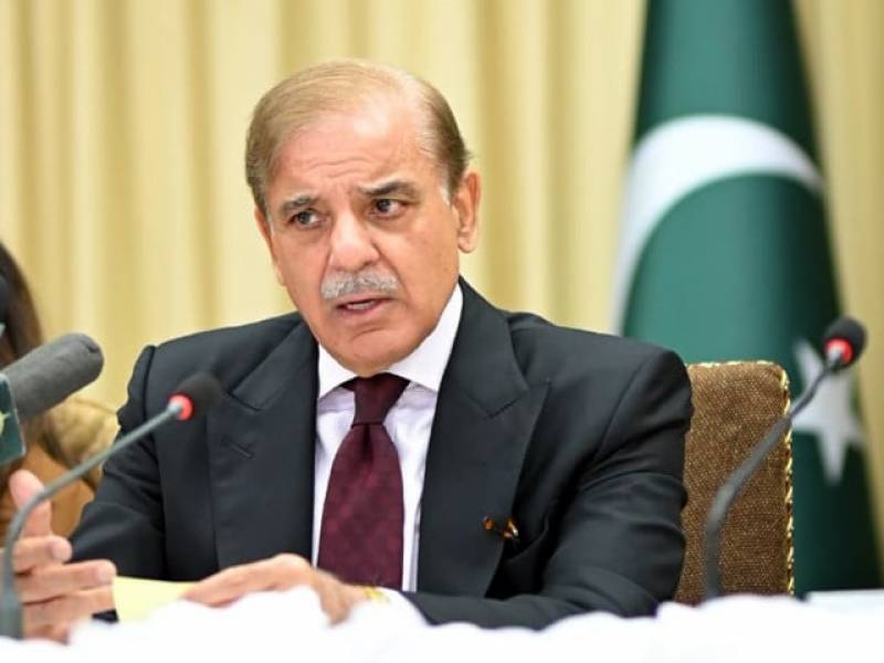 PM Shehbaz urges civil servants to work hard to steer Pakistan out of challenges