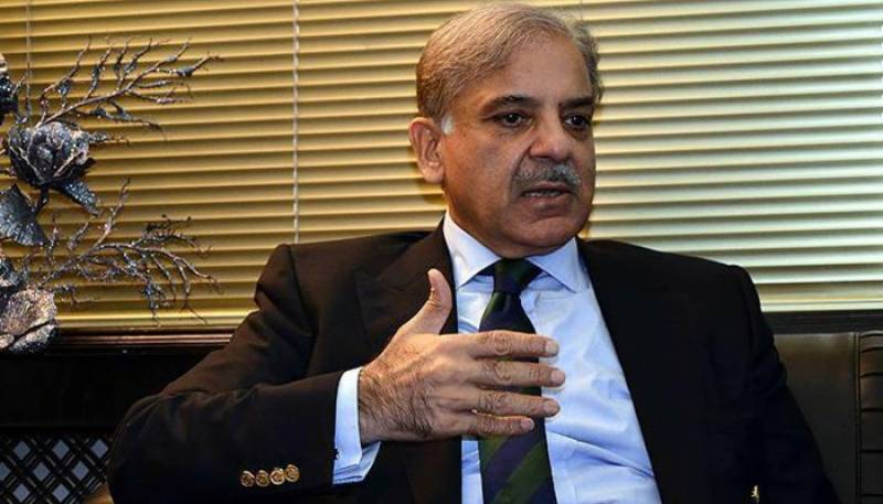 IMF giving tough time to finance minister, team during talks: PM Shehbaz
