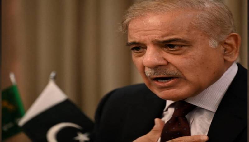 PM Shehbaz forms committee to make STZA functional