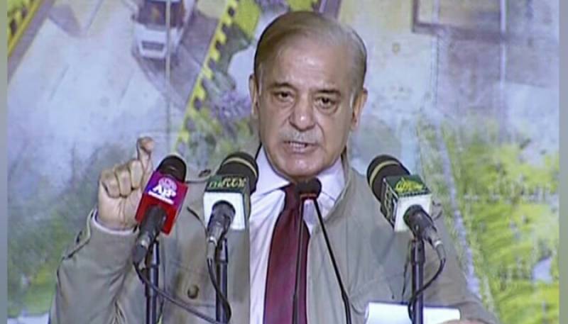 Collective efforts, hard work keys to overcome difficulties, says PM Shehbaz