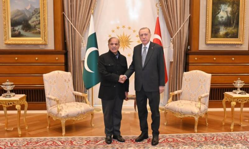 PM Shehbaz meets President Erdogan, offers 'heartfelt condolences' to quake-hit Turkiye