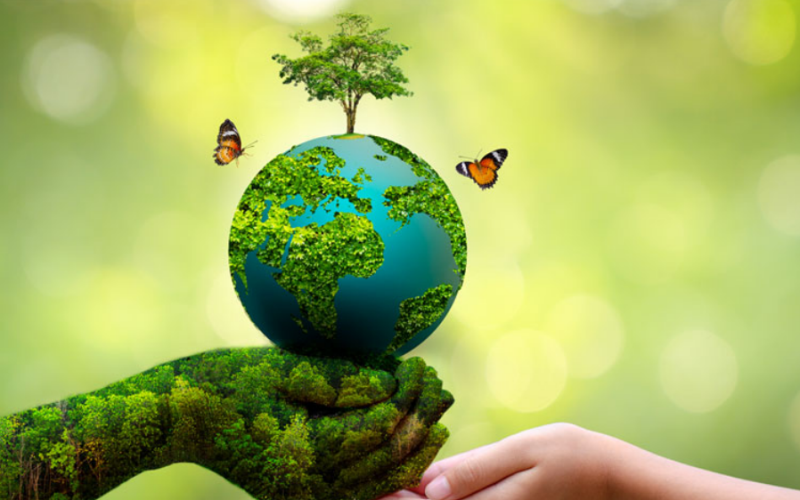 World Environment Day observed 