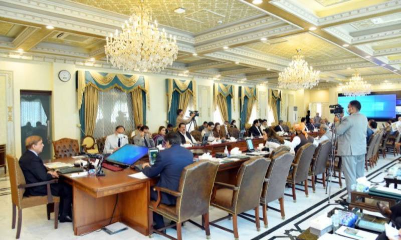 PM Shehbaz links economy with political stability as cabinet okays budget proposals