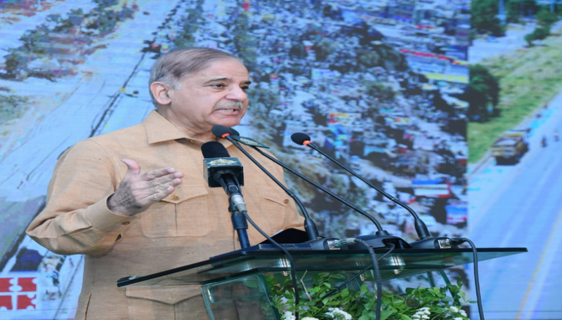 Political stability, economic development are interlinked: PM Shehbaz