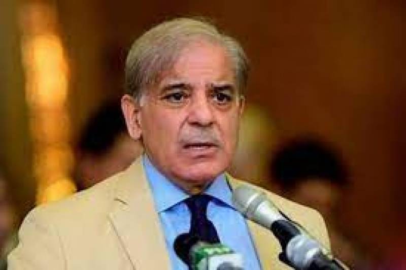 Govt has decided to set-up SIFC to frame economic policies, says PM Shehbaz 