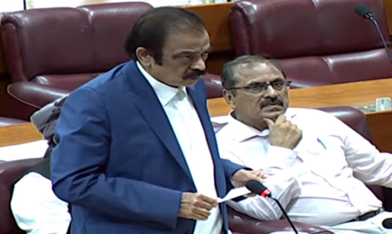 Govt to take firm action against human traffickers, assures Rana Sanaullah