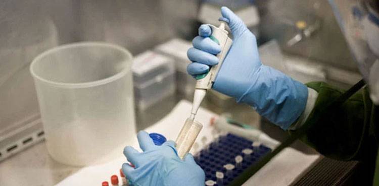 Polio-virus tested positive in 43 environmental samples
