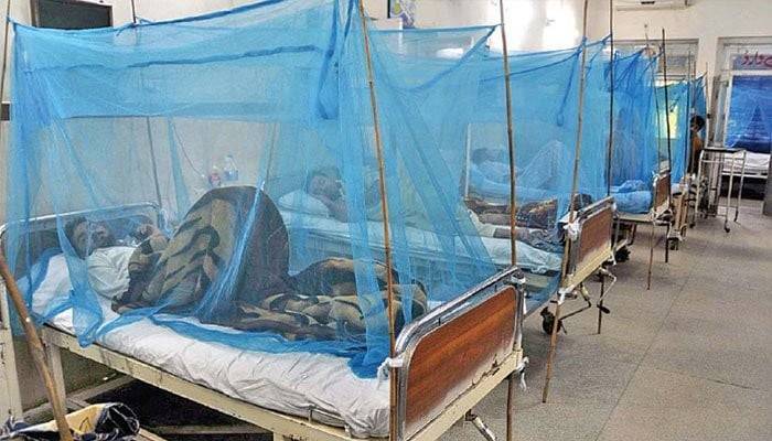 Dengue cases continue to rise in Punjab