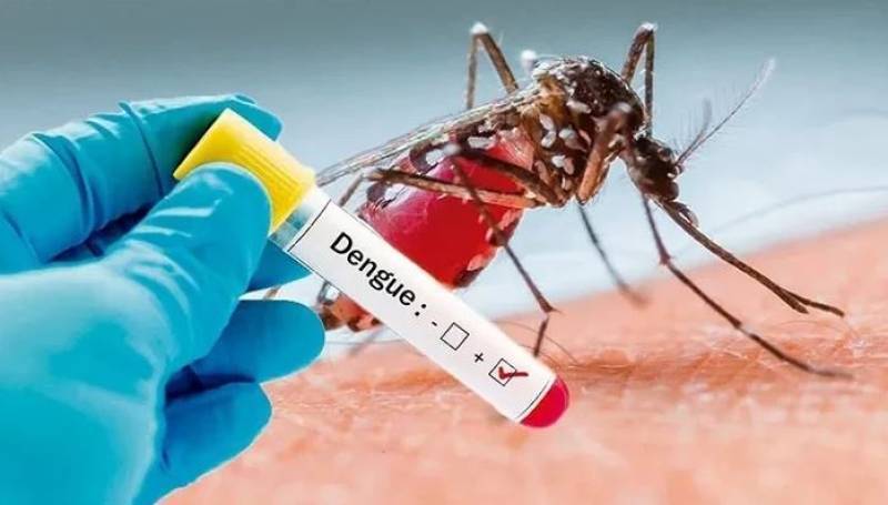 Dengue continues to surge as Punjab reports 219 new cases 