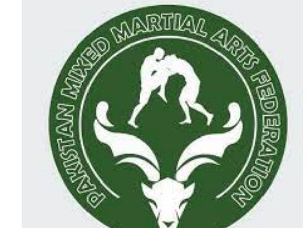 Pakistani athletes win two bronze medals at World MMA Championship 2023