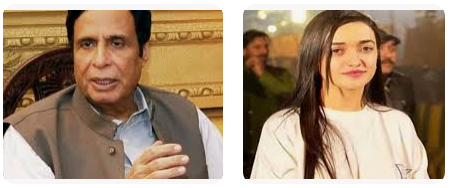 SC allows Parvez Elahi, Sanam Javed and other PTI candidates to contest polls